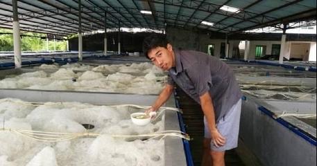 五年磨一劍 豐年蟲(chóng)工廠化養(yǎng)殖技術(shù)的神話與底氣
